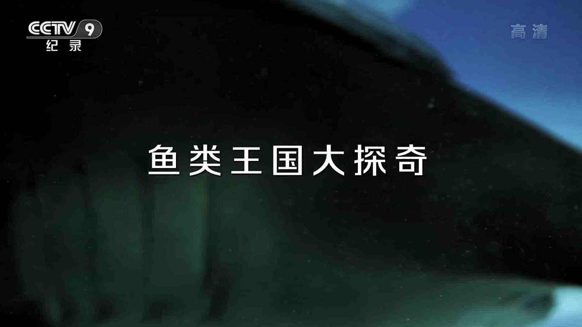 央视纪录片《鱼类王国大探奇 2018》全1集 国语中字 1080i高清网盘下载