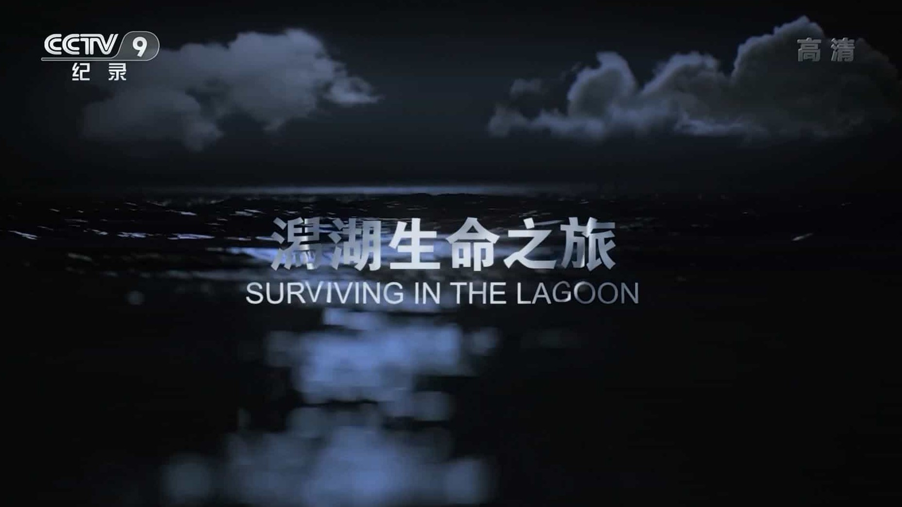 法国纪录片《潟湖生命之旅 Surviving in the Lagoon 2018》全1集 国语中字 1080P高清网盘下载