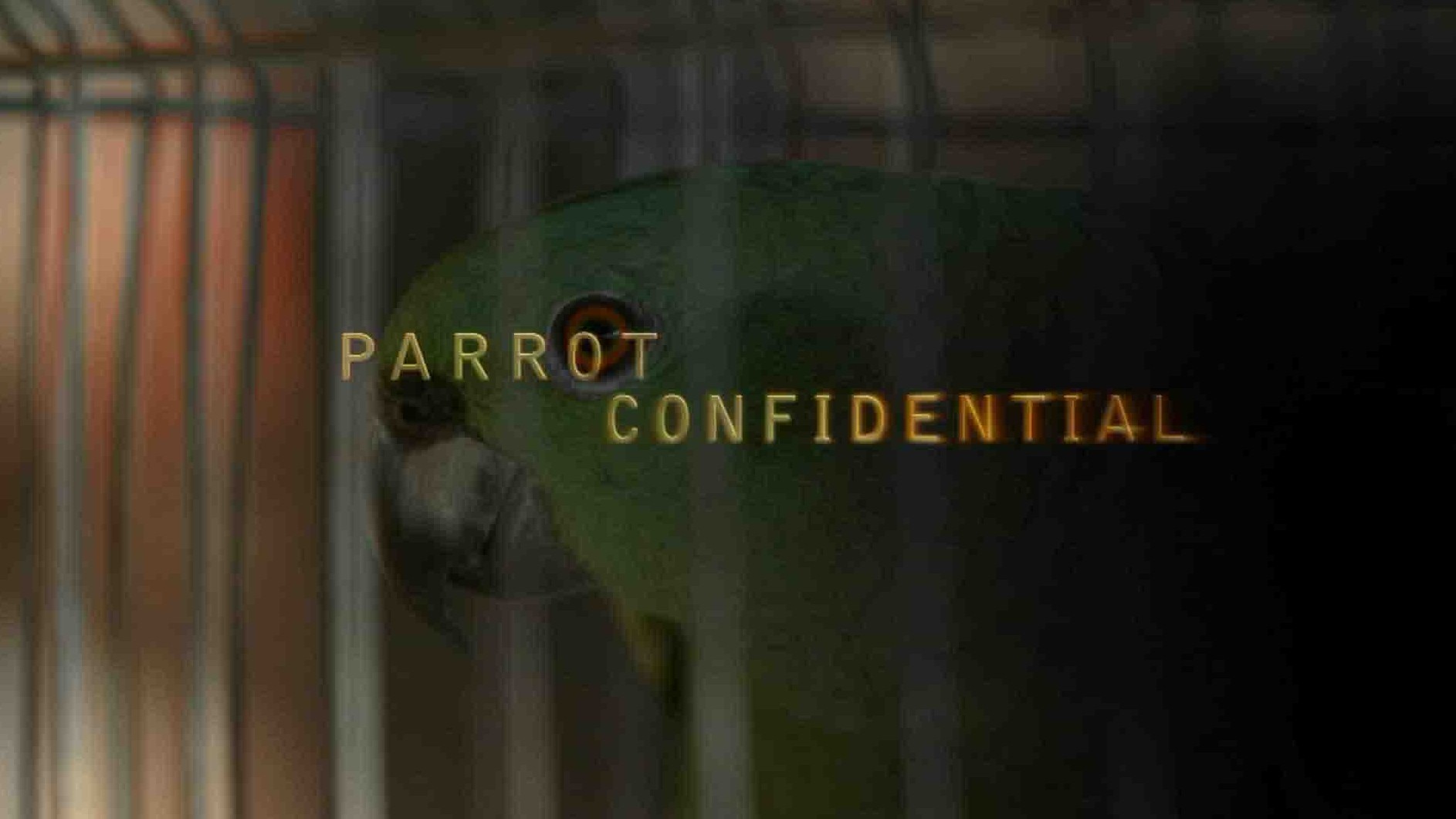 PBS纪录片《自然世界：解密鹦鹉 Parrot Confidential 2013》全1集 英语中英双字 1080P高清网盘下载