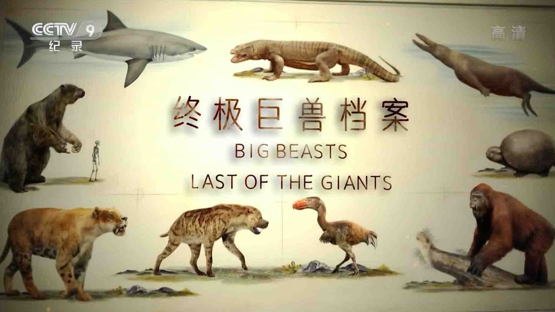 央视纪录片《终极巨兽档案/濒危巨兽 Big Beasts: Last of the Giants 2018》全3集 国语中字 1080i高清网盘下载