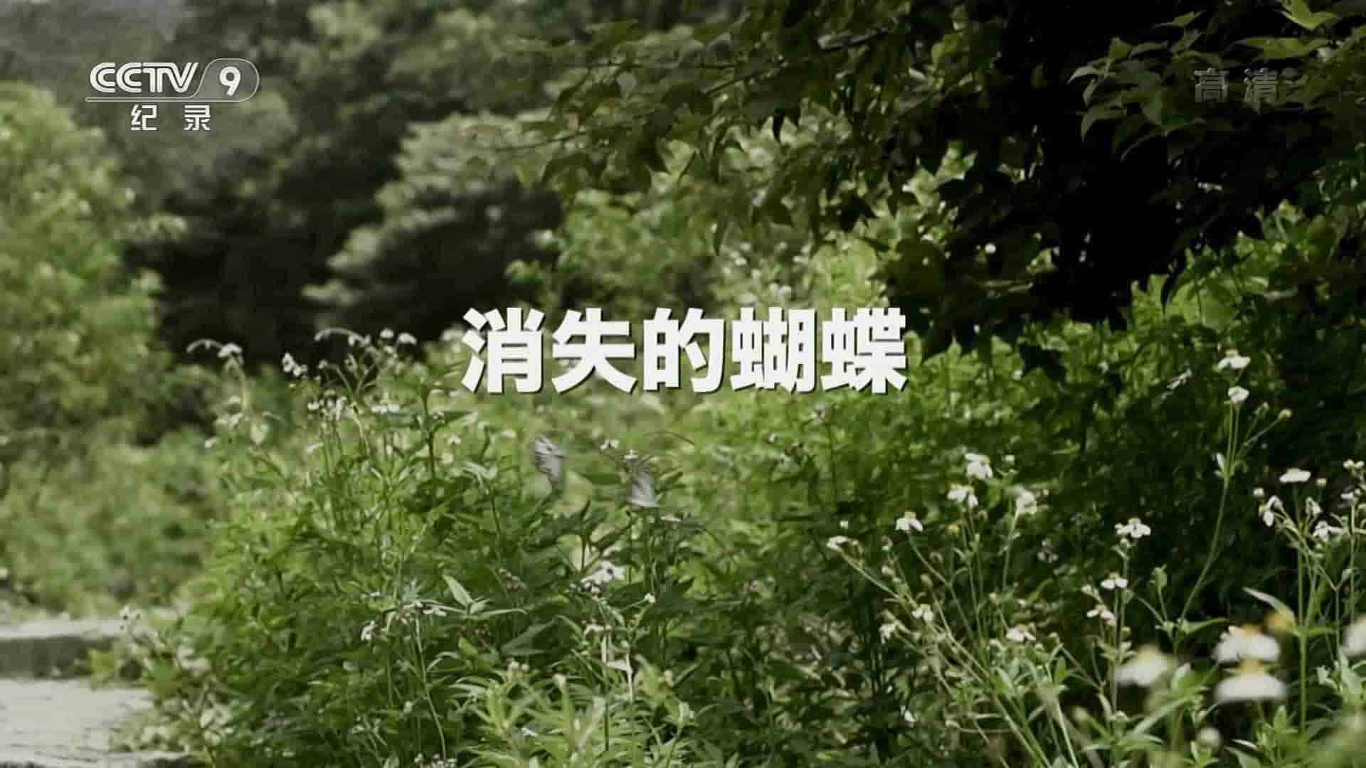 央视纪录片《消失的蝴蝶 2016》全1集 国语中字 1080P高清网盘下载