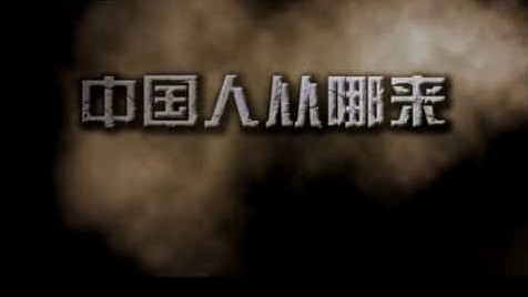 央视探索·发现《中国人从哪里来 2011》全5集 国语中字 标清网盘下载