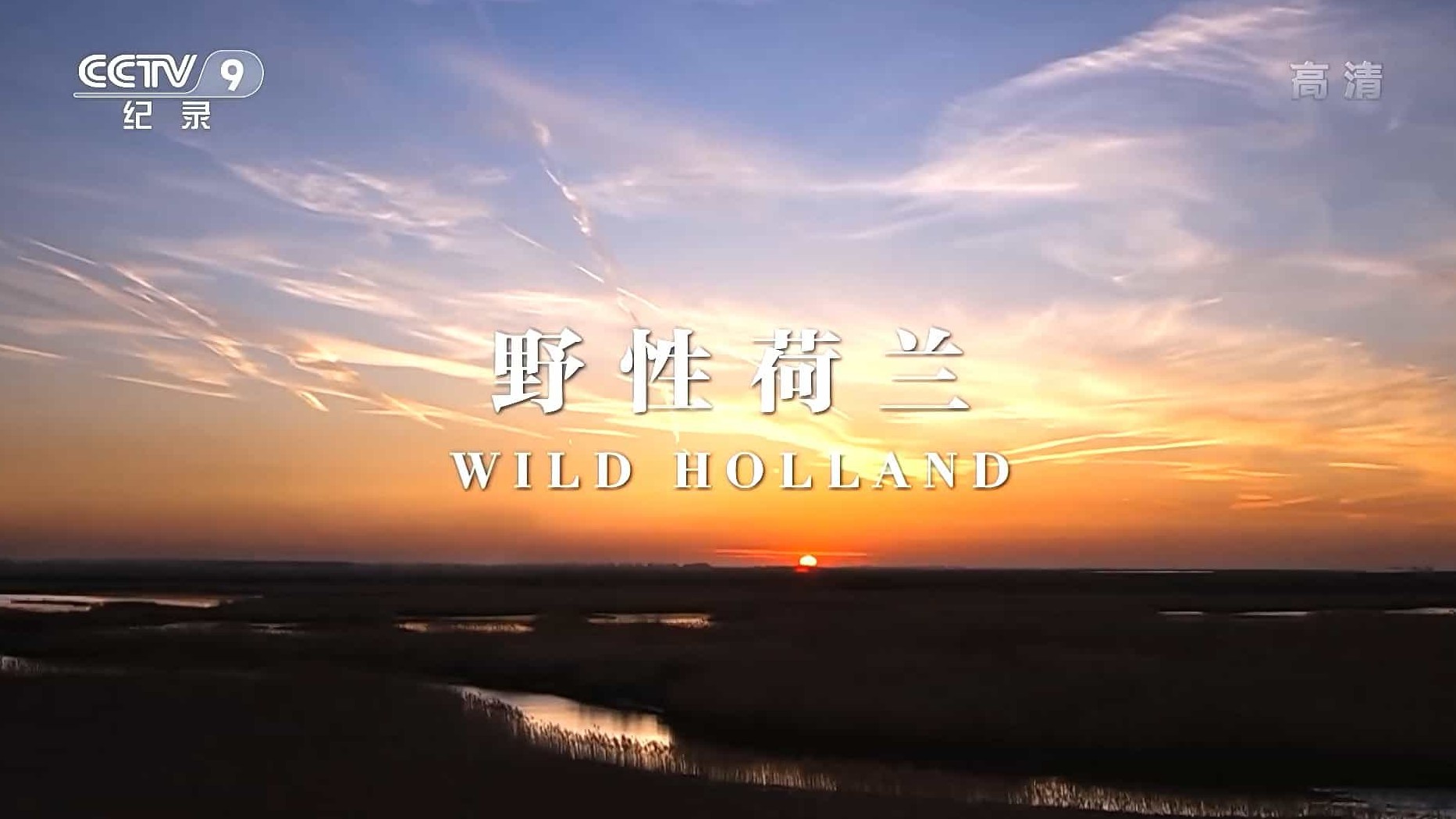 央视纪录片《野性荷兰 Wild Holland 2018》全2集 国语中字 1080P高清网盘下载