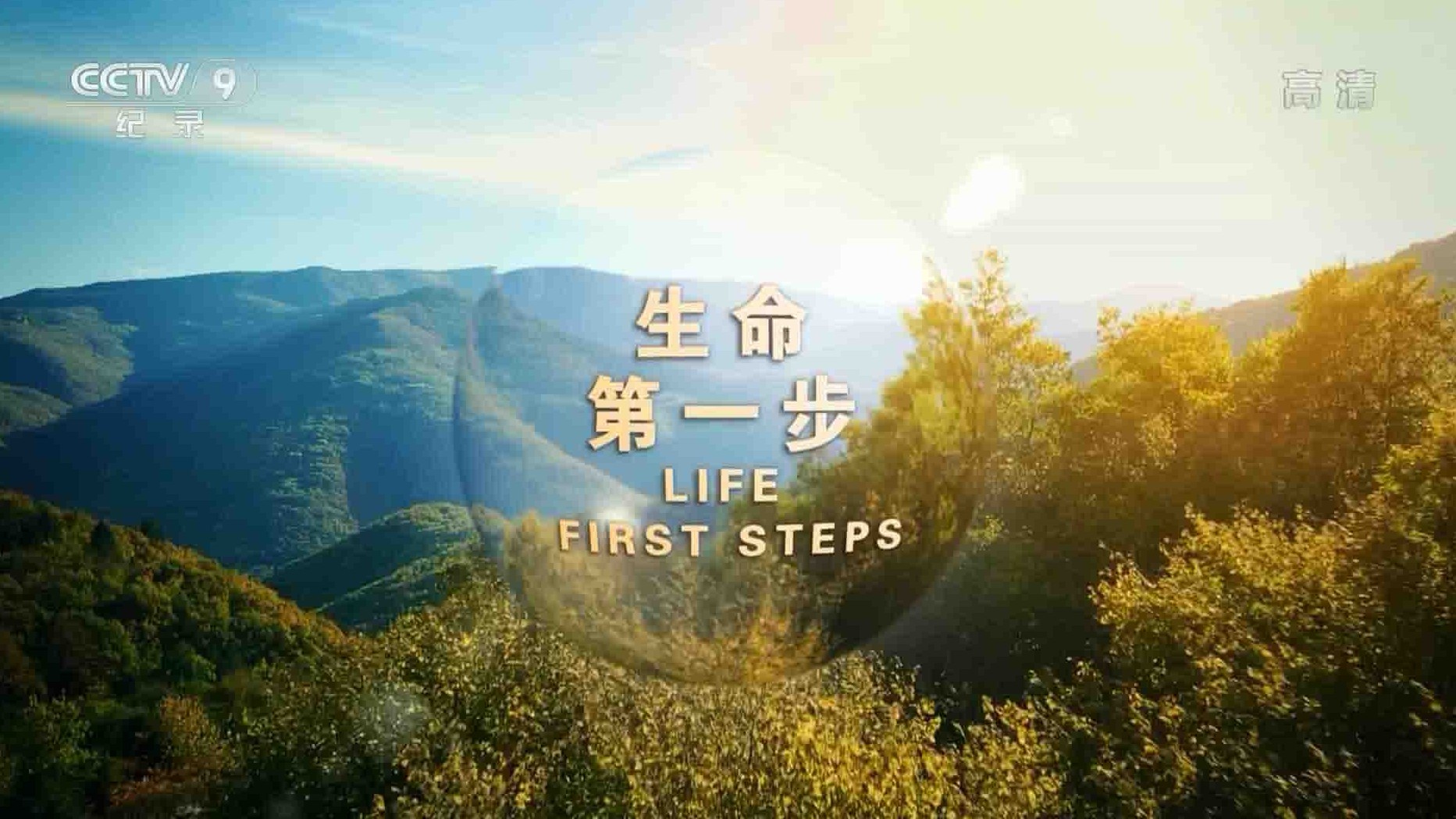 英国纪录片《生命第一步/成长第一步 Life First Steps 2018》全3集 国语中字 1080i高清网盘下载