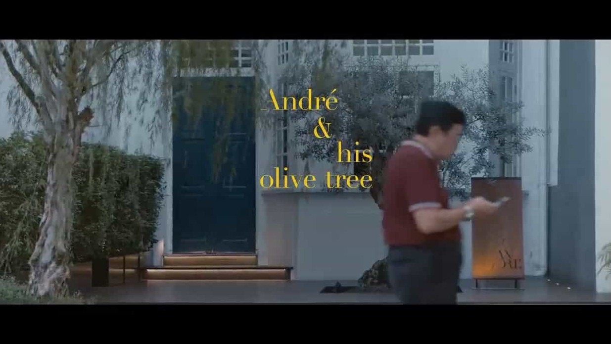 台湾纪录片《初心 Andre and His Olive Tree 2020》全1集 国语中字 720P高清网盘下载