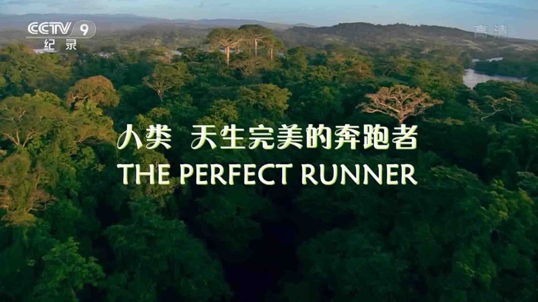 央视纪录片《人类 天生完美的奔跑者 The Perfect Runner 2018》全1集 国语中字 1080i高清网盘下载