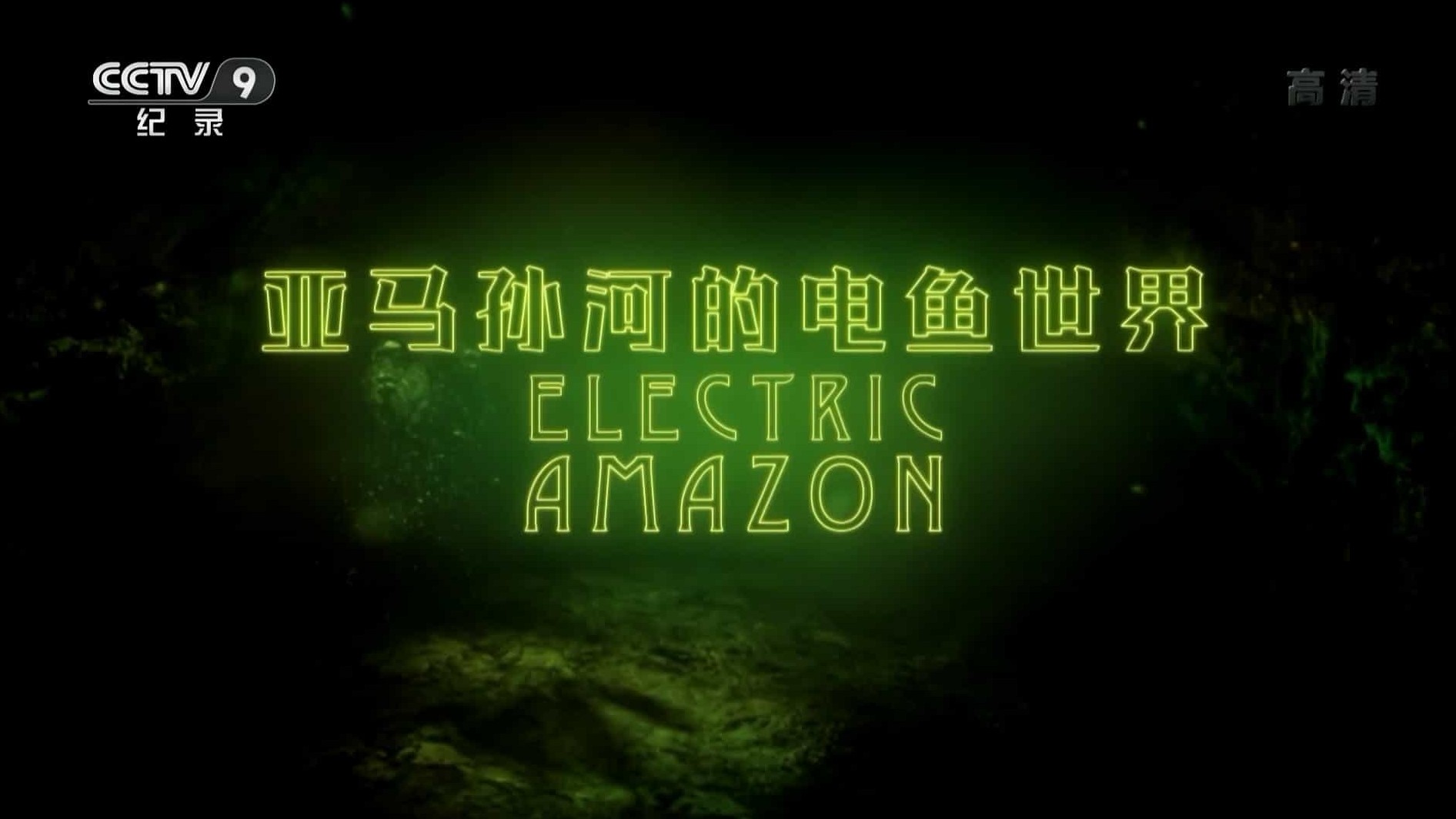 央视纪录片《亚马孙河的电鱼世界 Electric Amazon 2015》全1集 国语中字 1080P高清网盘下载