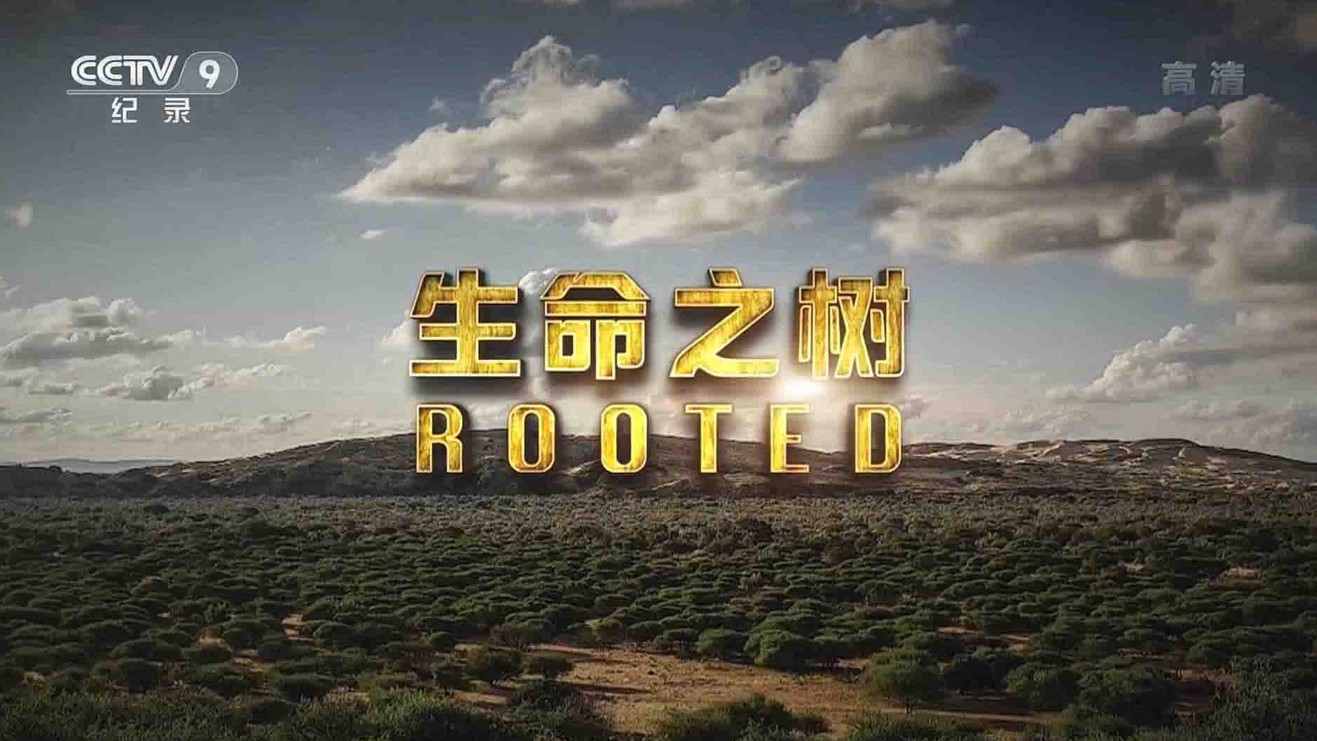 央视野生植物纪录片《生命之树 Rooted》全5集 1080p高清下载