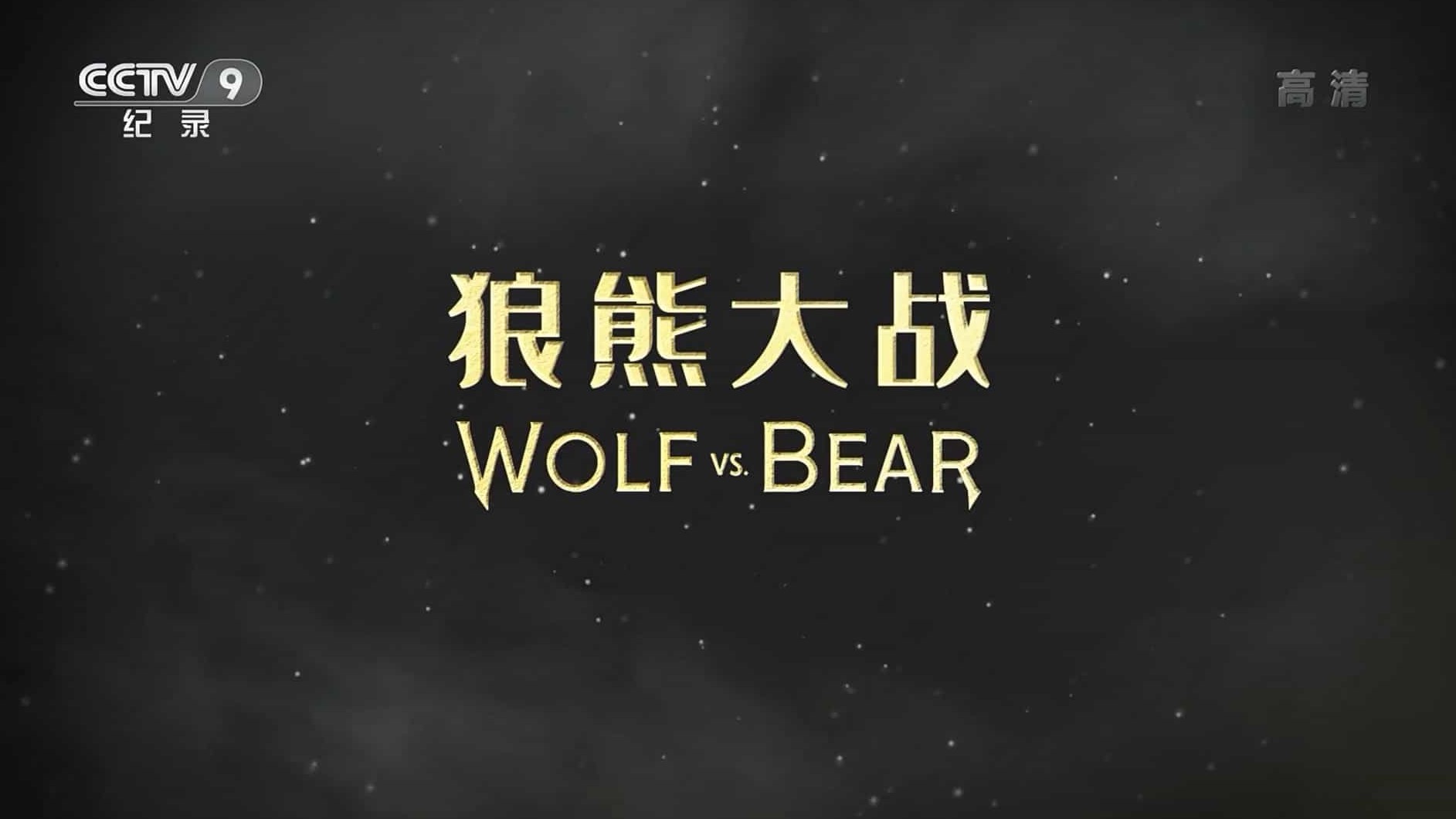 央视纪录片《狼熊大战 Wolf vs Bear 2018》全1集 国语中字 1080i高清网盘下载