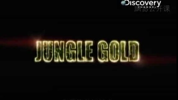 探索频道《非洲丛林采黄金 Jungle Gold》全13集 英语中字 标清网盘下载