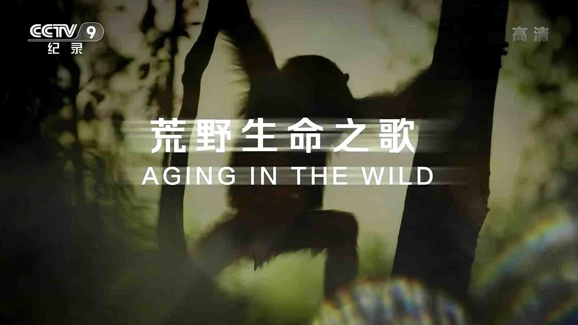 央视纪录片《荒野生命之歌 Aging in the Wild 2020》全5集 国语中字 1080P高清网盘下载