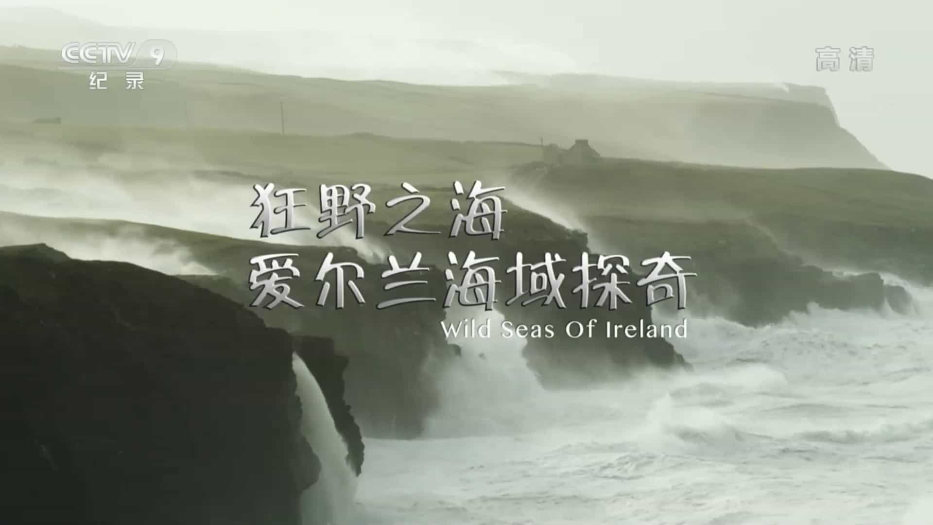 BBC纪录片《狂野之海-爱尔兰海域探奇 Wild Seas of Ireland 2018》全2集 国语中字  720P高清网盘下载