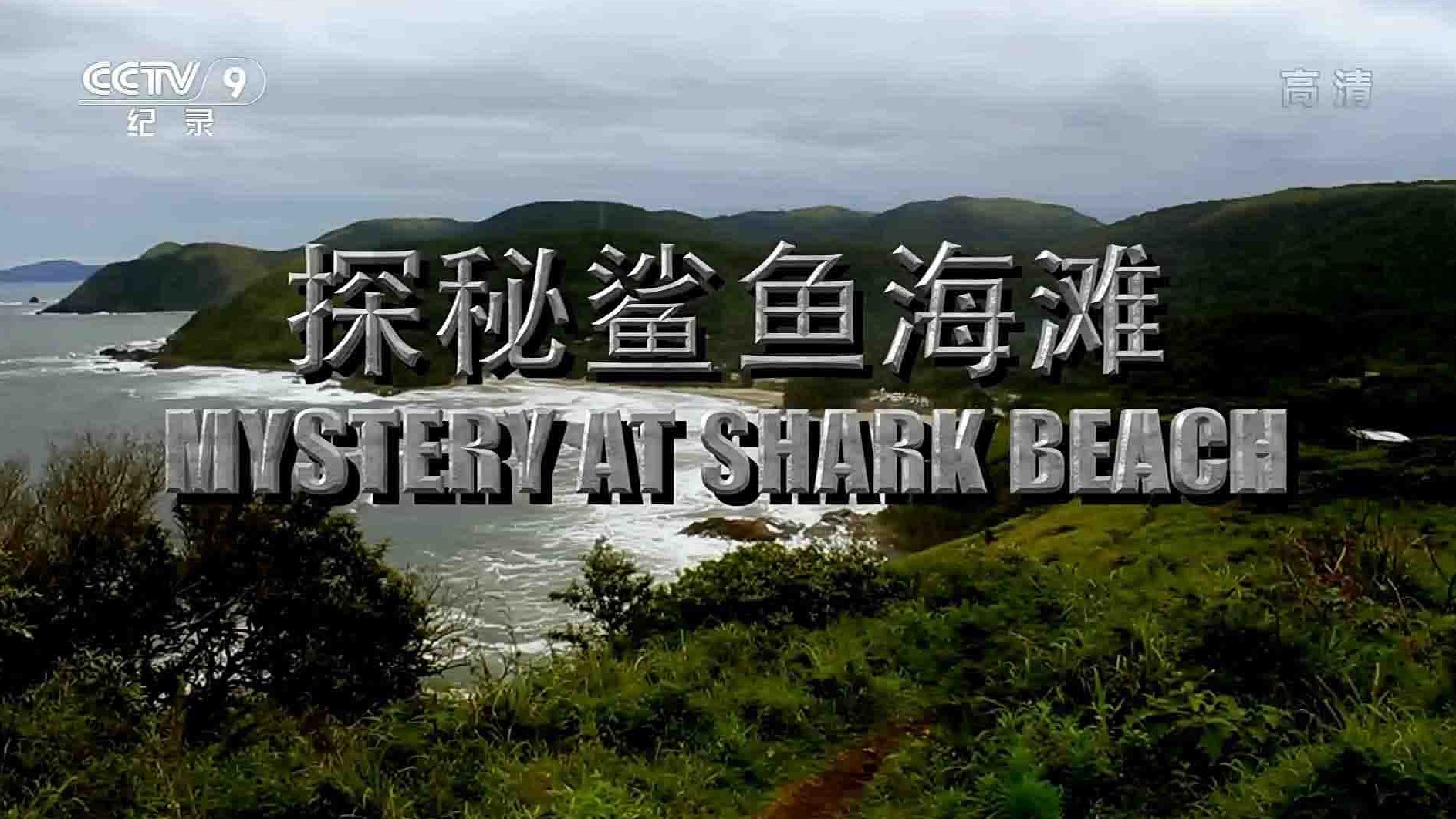 央视纪录片《探秘鲨鱼海滩 Mystery at Shark Beach 2010》全1集 国语中字 1080P高清网盘下载