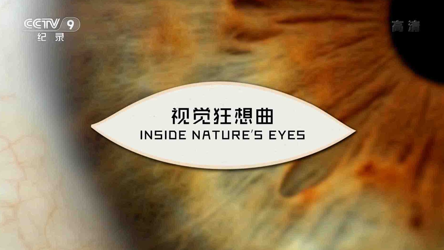 央视纪录片《视觉狂想曲 Inside Nature’s Eyes 2016》全1集 国语中字 1080i高清网盘下载