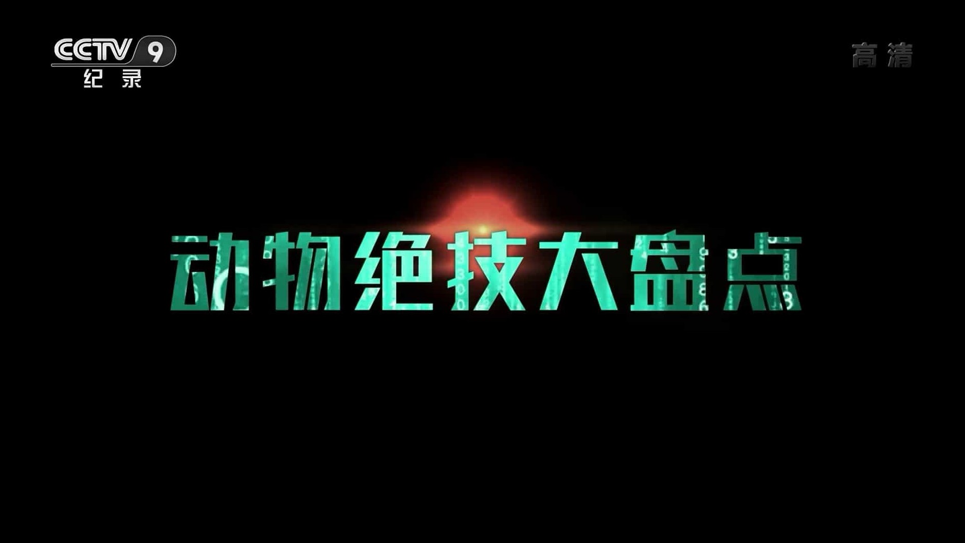 央视纪录片《动物绝技大盘点 2019》全6集 国语中字 1080P高清网盘下载