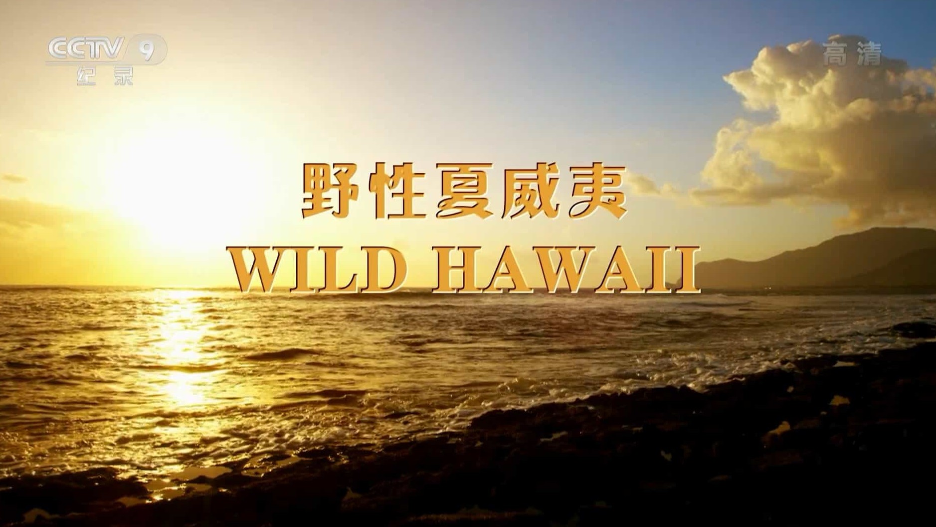 动物星球频道《野性夏威夷 Wild Hawaii 2015》全1集 国语中字 1080i高清网盘下载