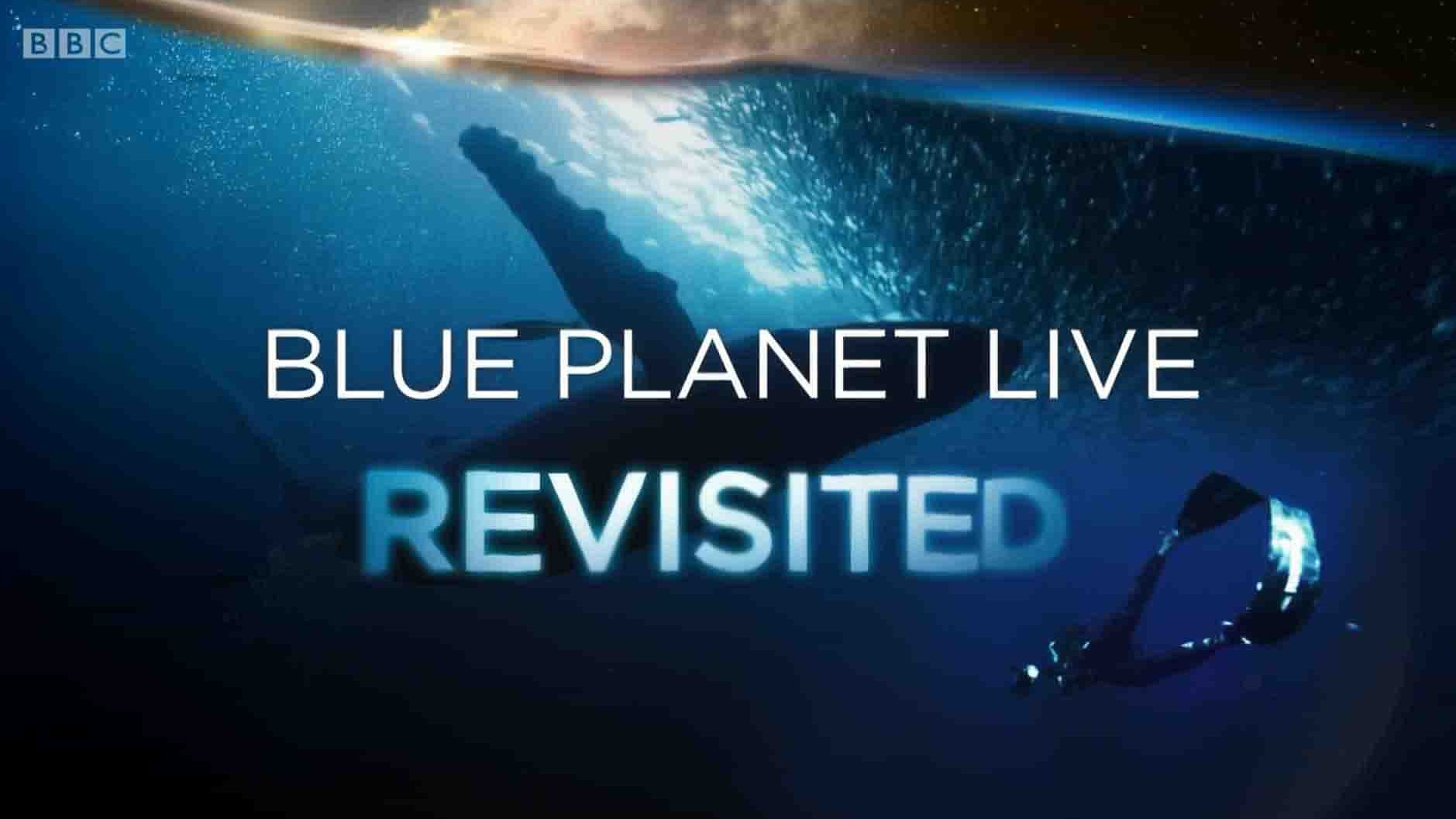 BBC纪录片《重访蓝色星球 Blue Planet Revisited 2020》全2集 英语中英双字 1080P高清网盘下载