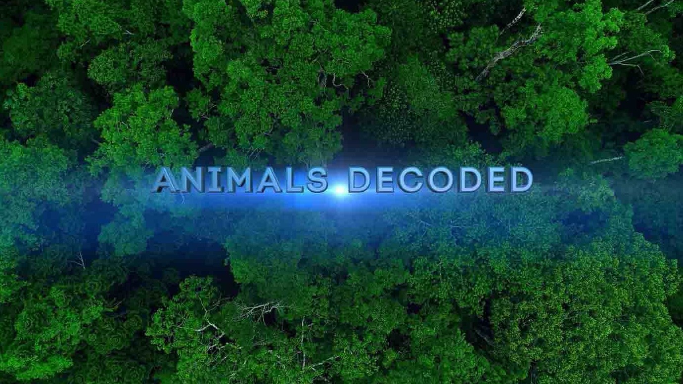 加拿大纪录片《动物解码 Animals Decoded 2018》全3集 英语外挂中英双字 1080P高清网盘下载