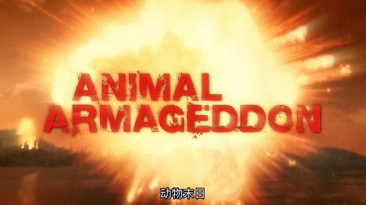 探索频道《动物的末日 Animal Armageddon》全8集 英语中字 720P高清网盘下载