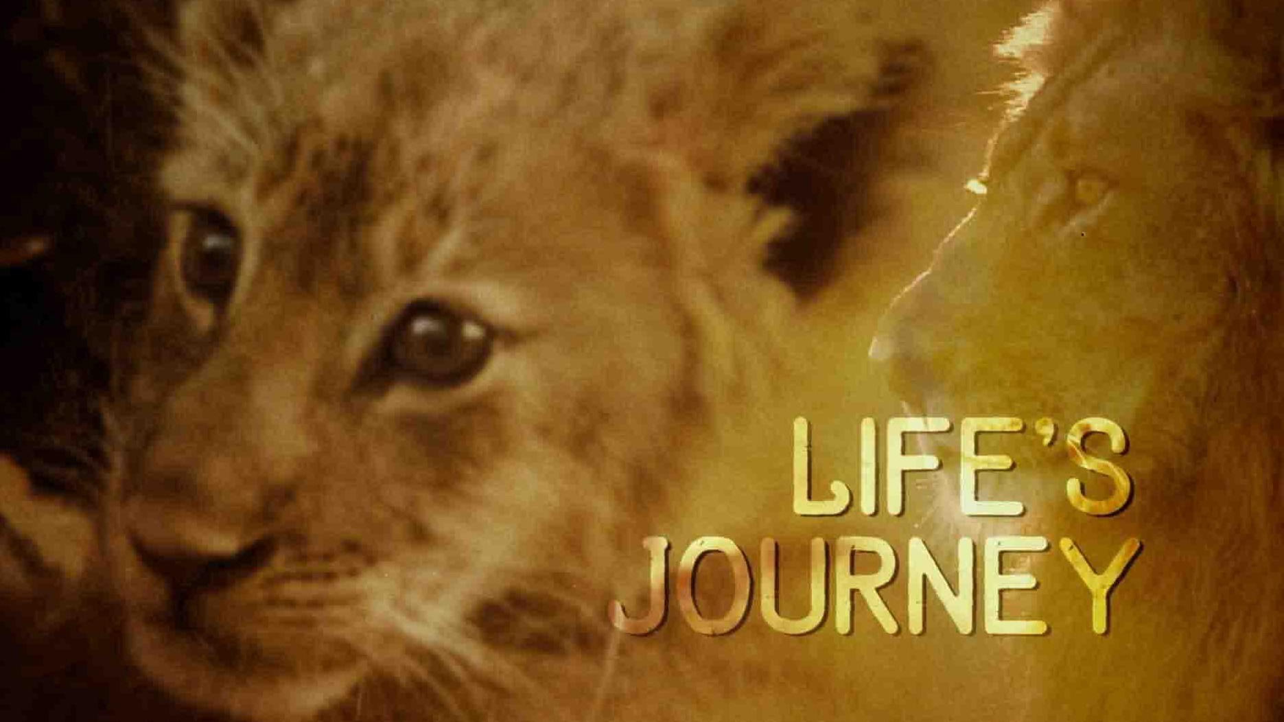 加拿大纪录片《生命历程 Lifes Journey 2017》全3集 英语中英双字 1080P高清网盘下载