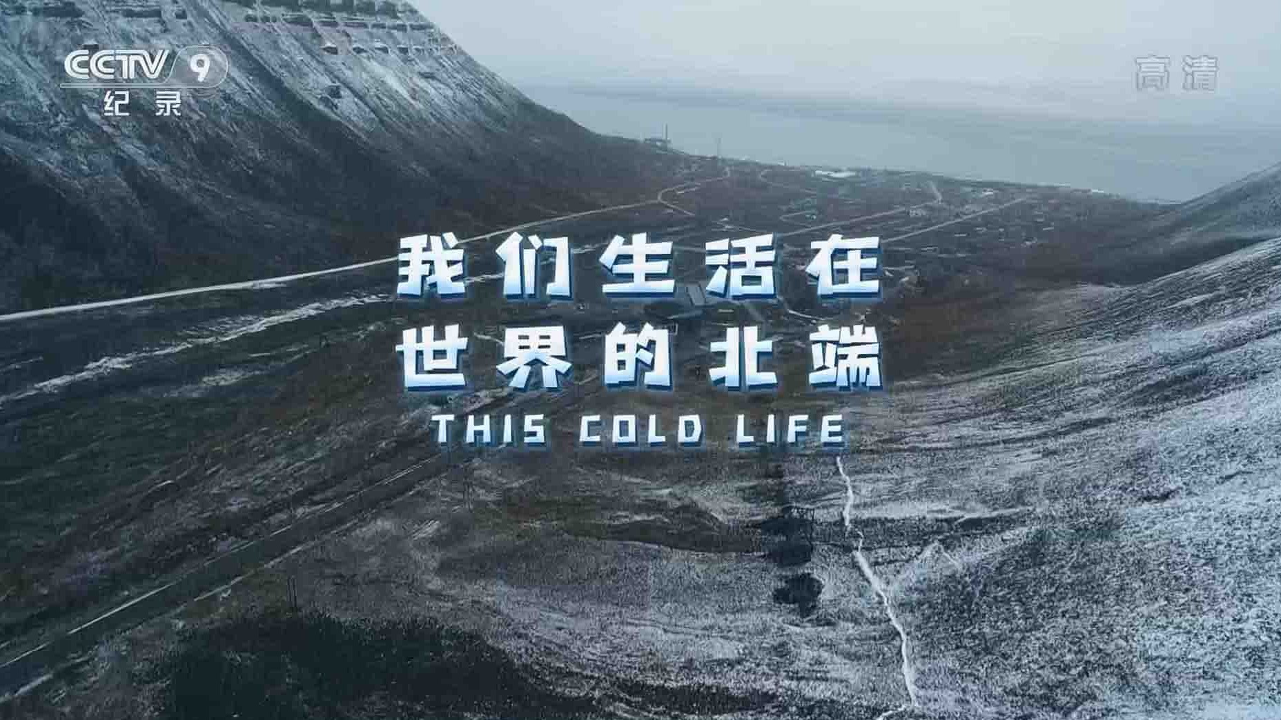 央视纪录片《我们生活在世界的北端 This Cold Life 2017》全1集 国语中字 1080P高清网盘下载