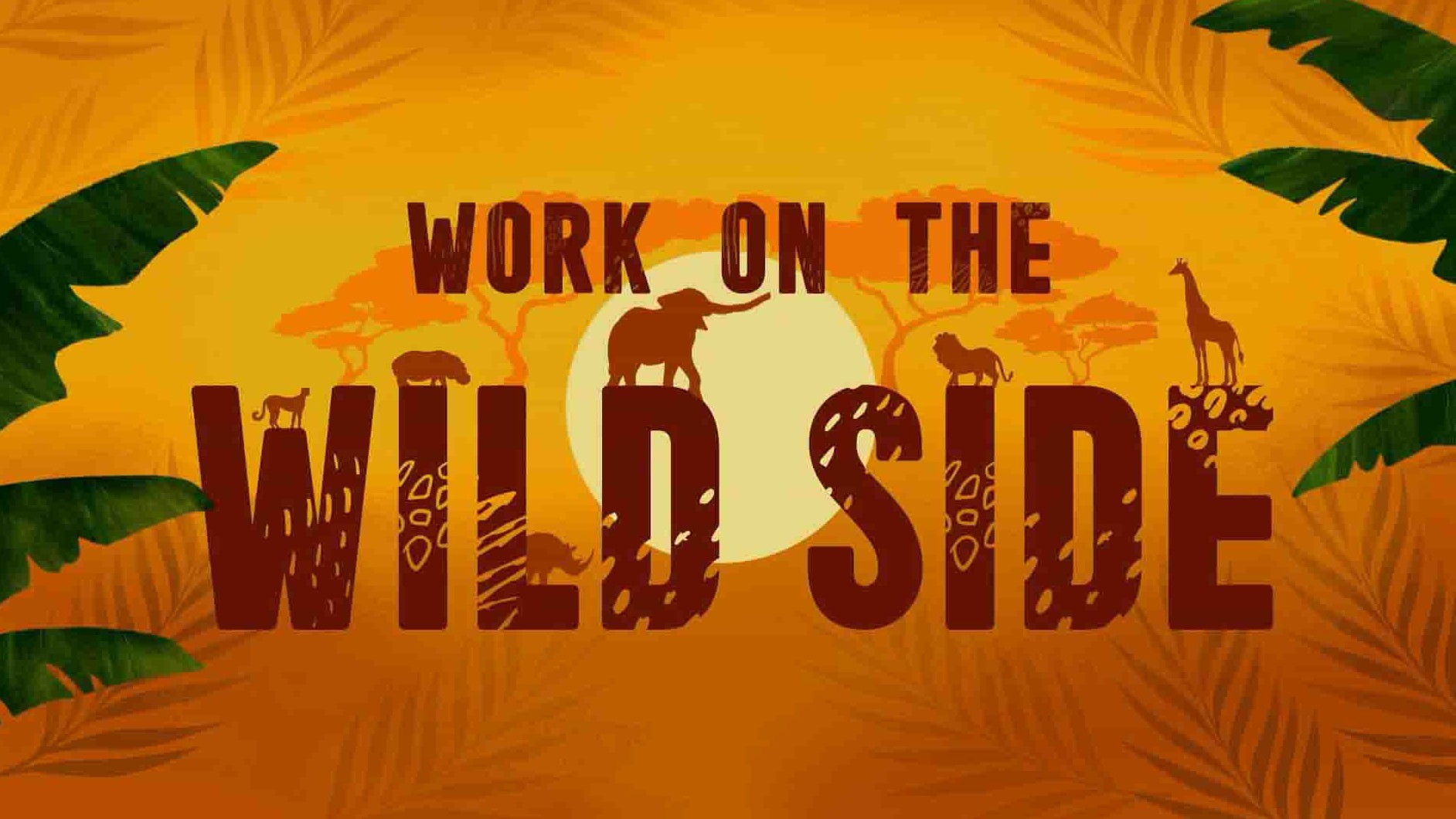 CH4纪录片《野生大营救 Work on the Wild Side 2020》第1季全20集 英语中英双字 1080P高清网盘下载