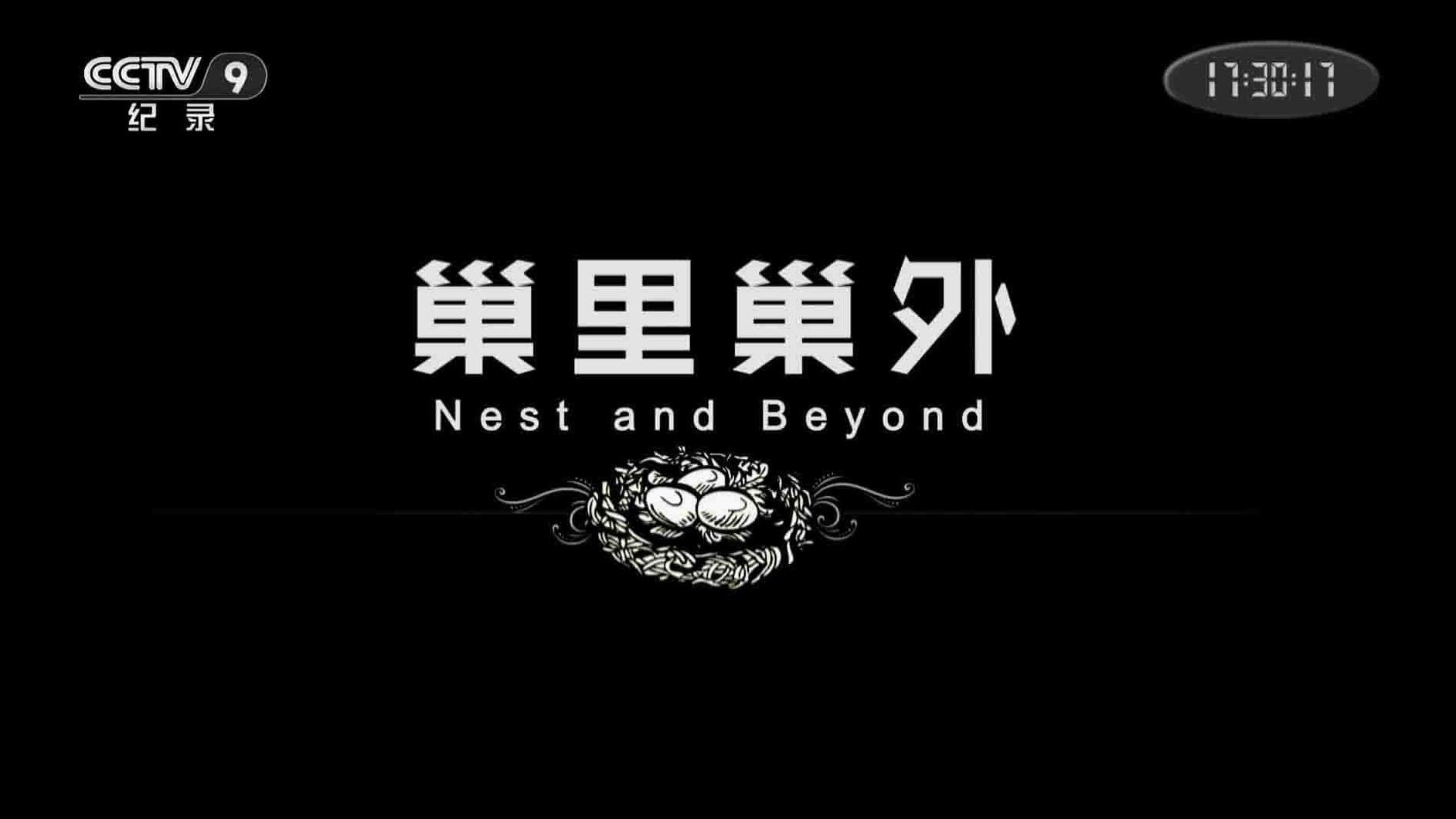 央视纪录片《巢里巢外 Nest and Beyond 2018》全3集 国语中字 1080P高清网盘下载