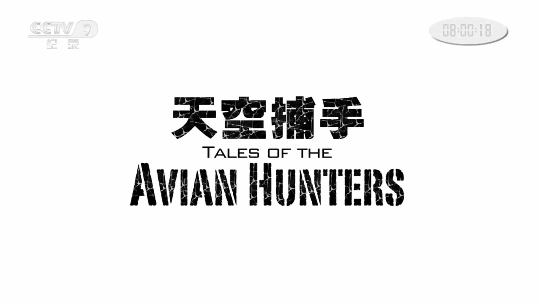 央视纪录片《天空捕手 Tales of the Avian Hunters 2013》全2集 国语中字 1080P高清网盘下载