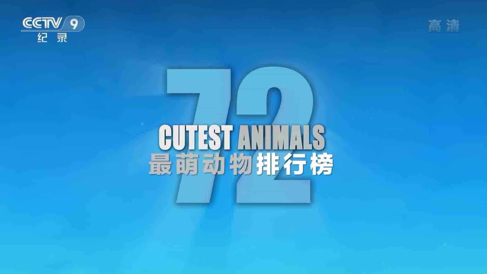 央视纪录片《最萌动物排行榜 Cutest Animals 2018》全6集 国语中字 1080P高清网盘下载