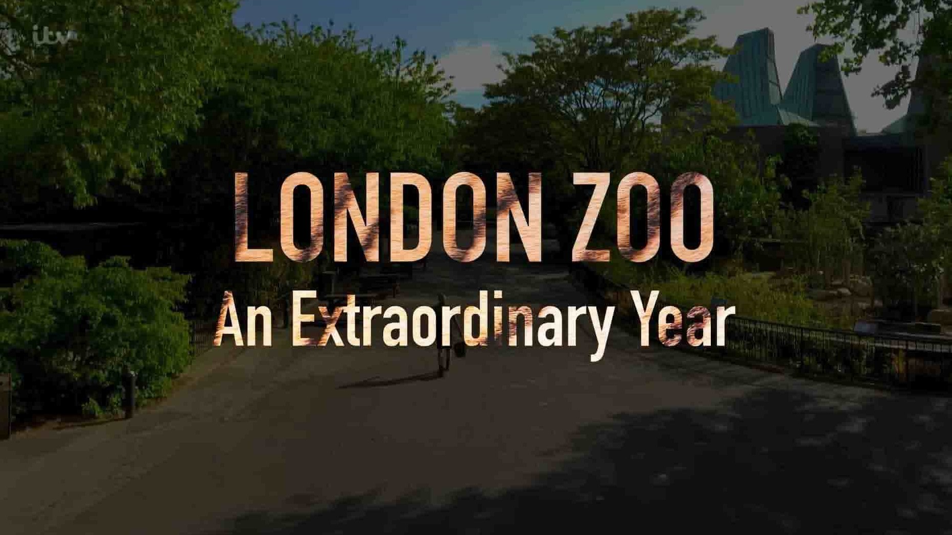 ITV纪录片《伦敦动物园：非凡的一年 London Zoo: An Extraordinary Year 2020》全2集 英语中英双字 1080p高清网盘下载