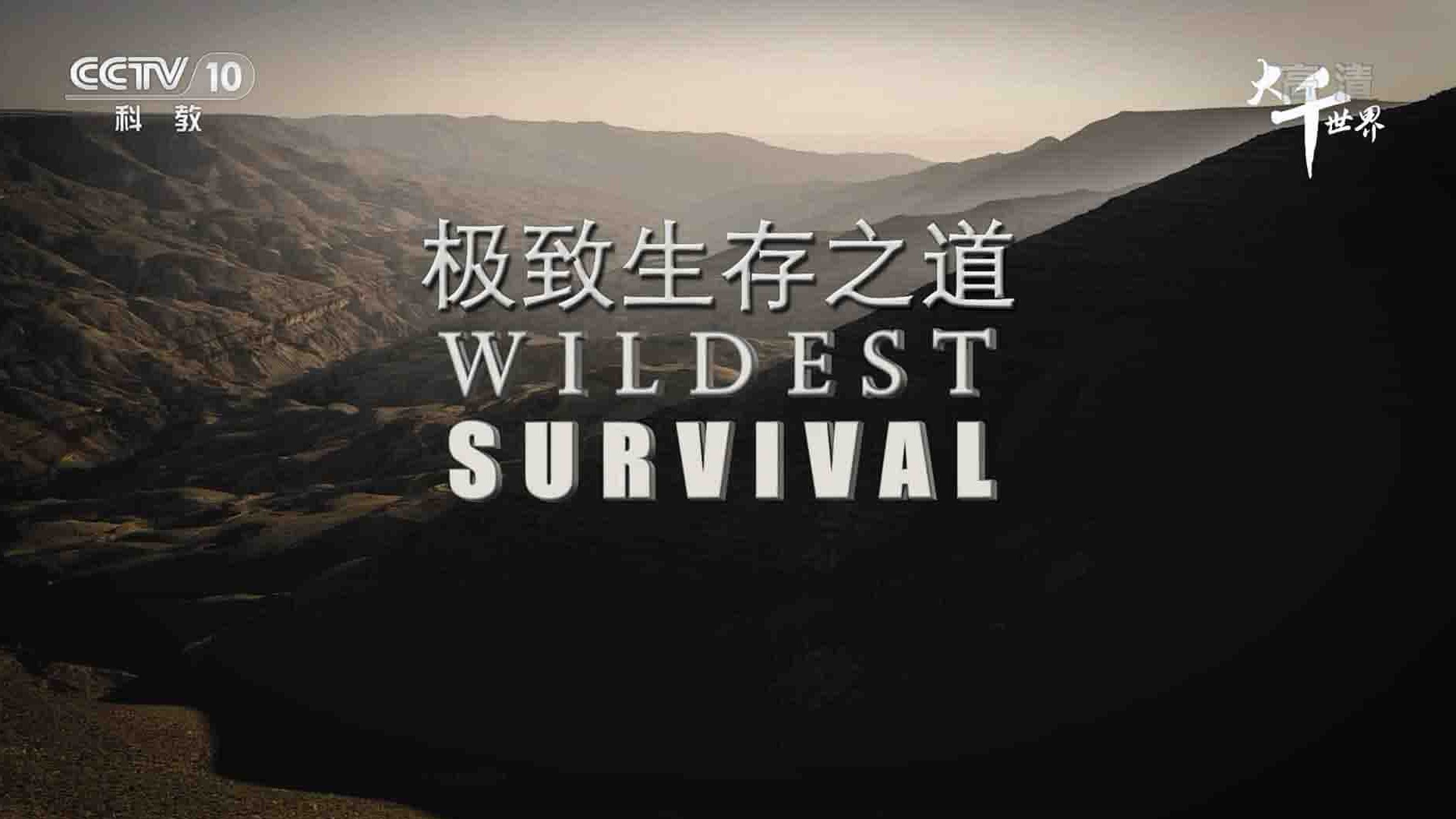 央视纪录片《极致生存之道 Wildest Survival 2019》第2季 全10集 国语中字 1080P高清网盘下载