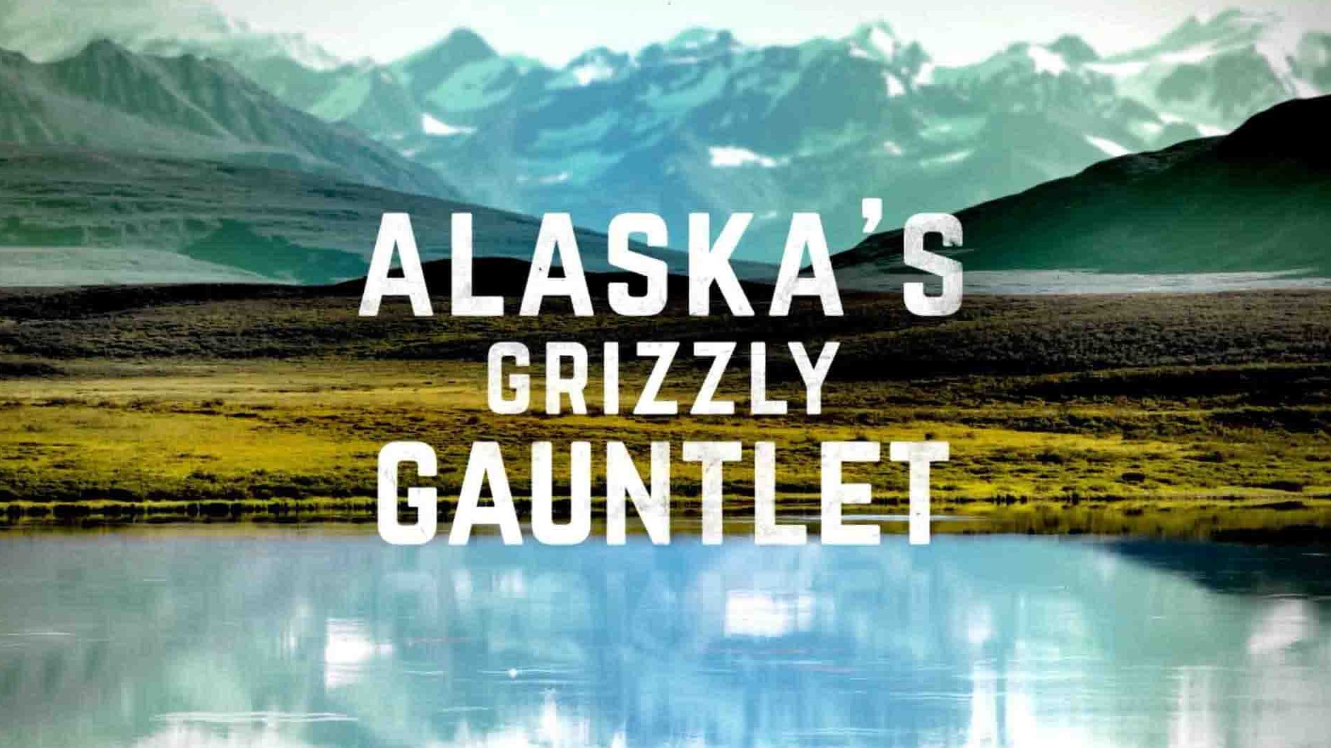 国家地理《阿拉斯加生存战/阿拉斯加动物战场 Alaska