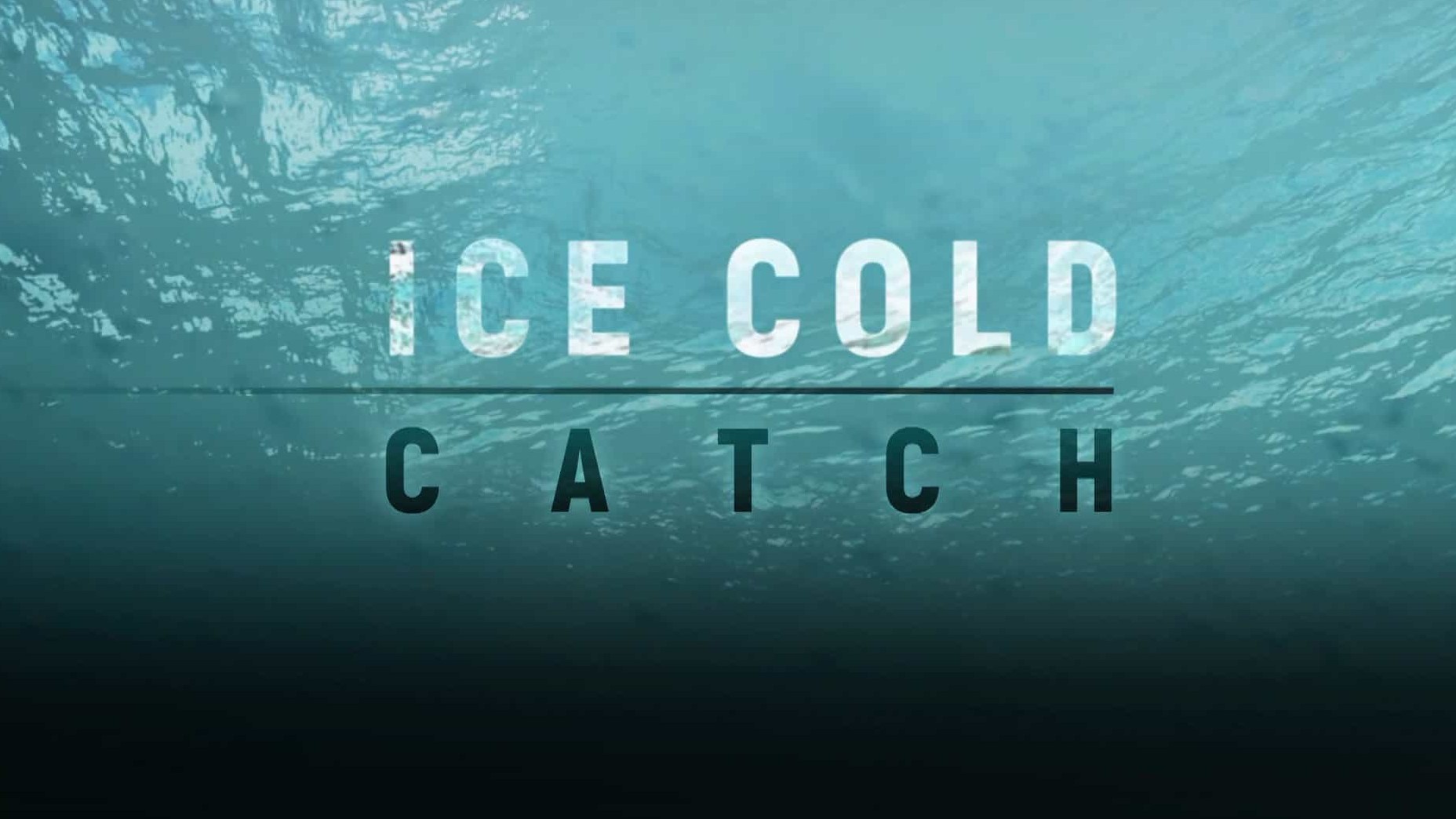 探索频道《冰海的捕获 Ice Cold Catch》第1季全13集 英语中英双字  1080P高清网盘下载