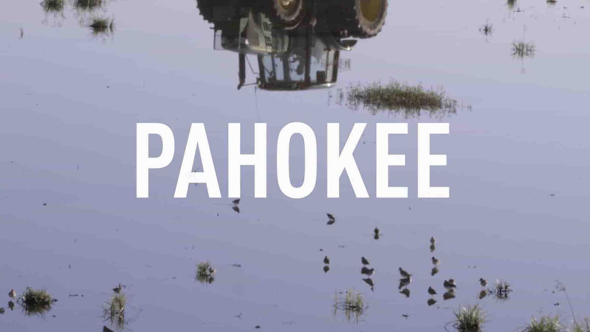 美国纪录片《成长在帕霍基/帕霍基 Pahokee 2019》全1集 英语中英双字 1080P高清网盘下载