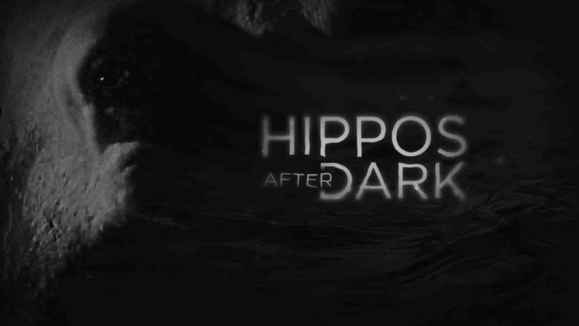 国家地理《黑夜中的河马 Hippos After Dark 2015》全1集 英语中英双字 1080P高清网盘下载