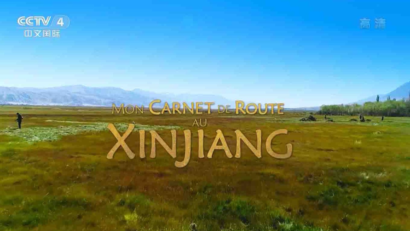 央视纪录片《我的新疆日记 Mon Carnet de route au Xinjiang 2020》全3集 国语中字 1080P高清网盘下载