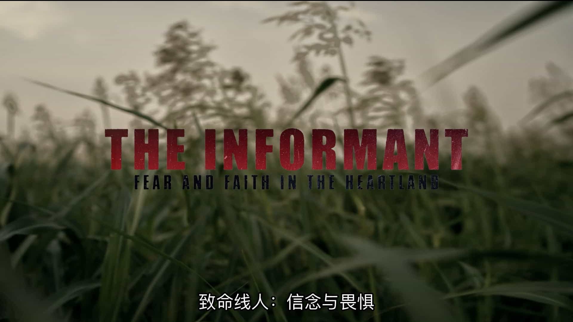 HULU纪录片《告密者：阻止恐攻的勇气 The Informant: Fear and Faith in the Heartland 2021》全1集 英语多国中字 1080P高清网盘下载