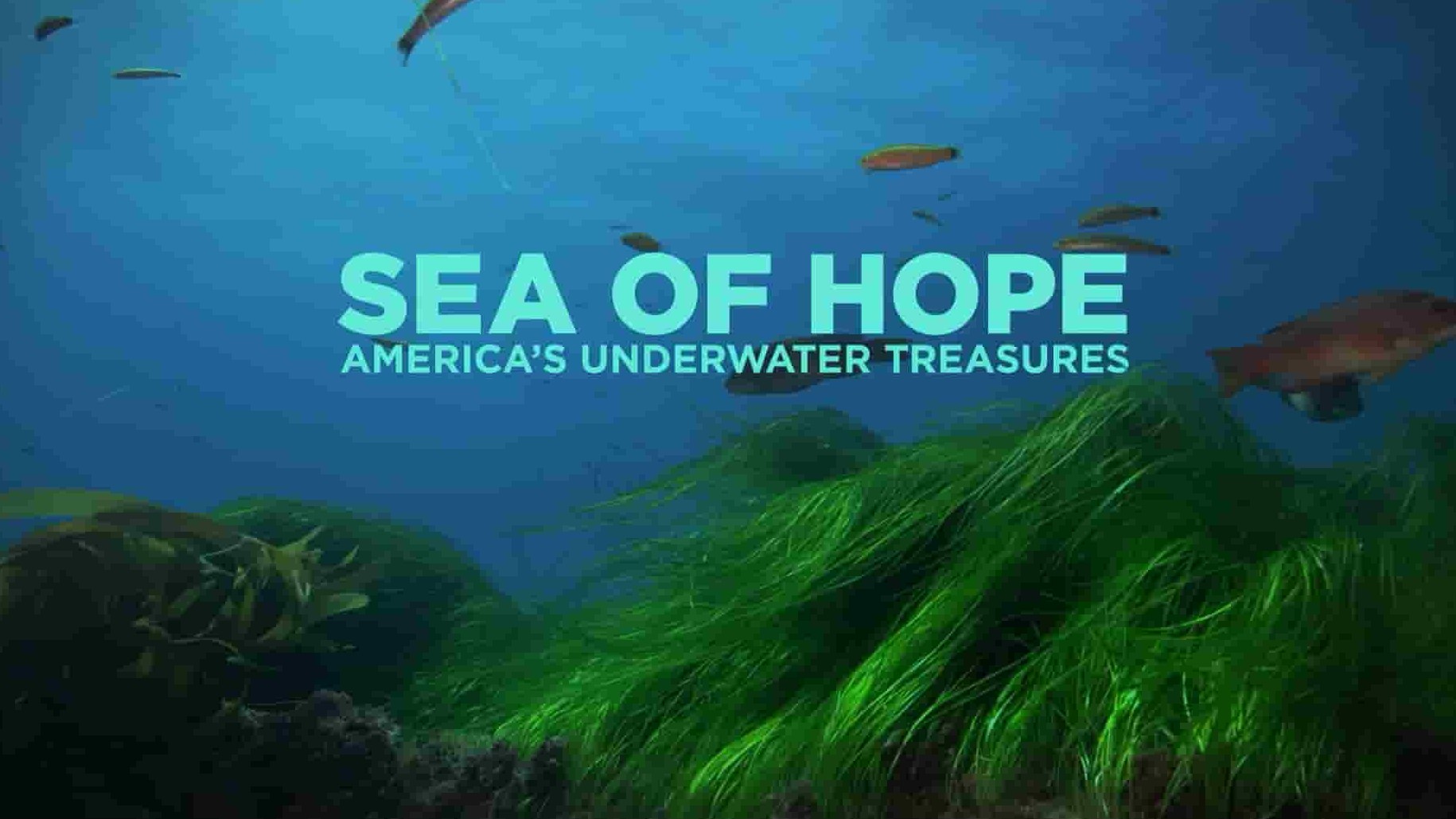 国家地理《希望之海：美国的水下宝藏 Sea of Hope: America