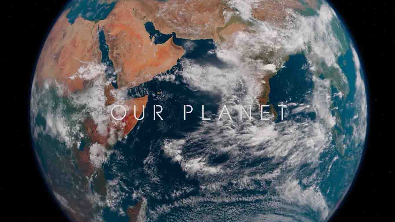 Netflix纪录片《我们的星球 Our Planet 2019》全8集 英语中字 1080P高清网盘下载