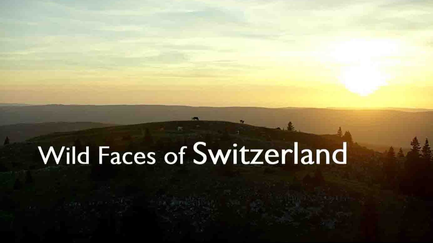 德国纪录片《狂野瑞士 Wilde Schweiz 2017》全4集 德语中英双字 1080P高清网盘下载