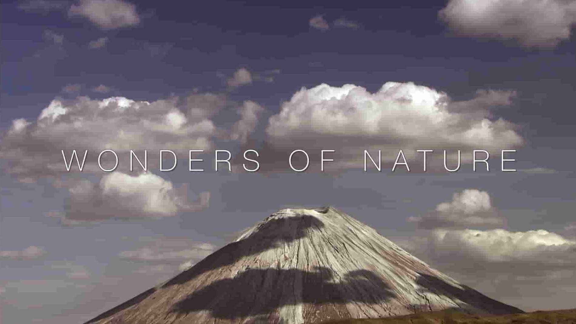 英国纪录片《自然奇观 Wonders of Nature 2022》全6集 英语中英双字 1080P高清网盘下载