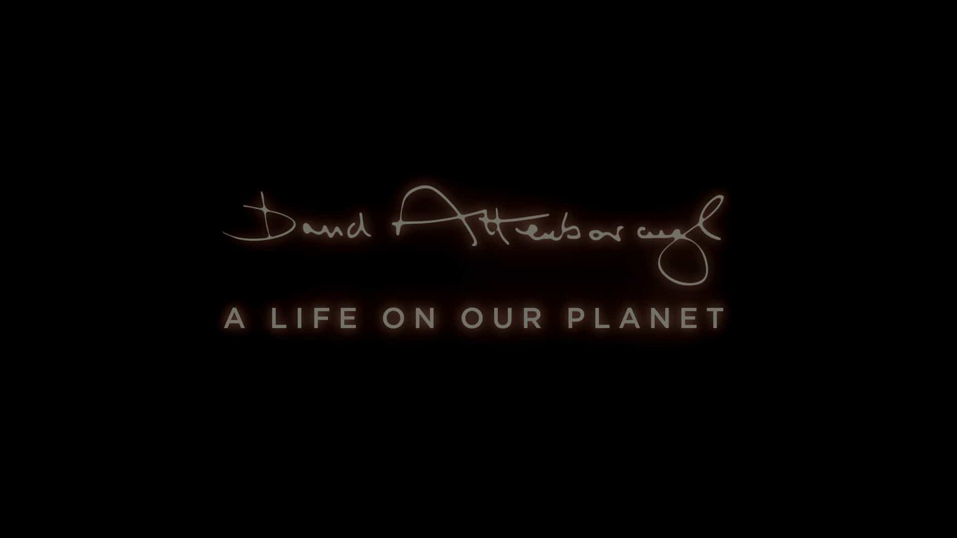 Netflix纪录片《大卫·爱登堡：地球上的一段生命旅程David Attenborough: A Life on Our Planet 》全1集 英语多国语言字幕 1080p高清网盘下载