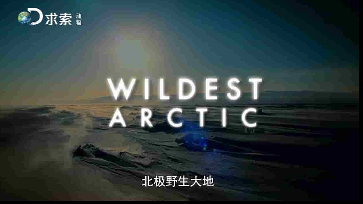 探索频道 《野性北极 Wildest Arctic》全4集 国语中字 720P高清网盘下载