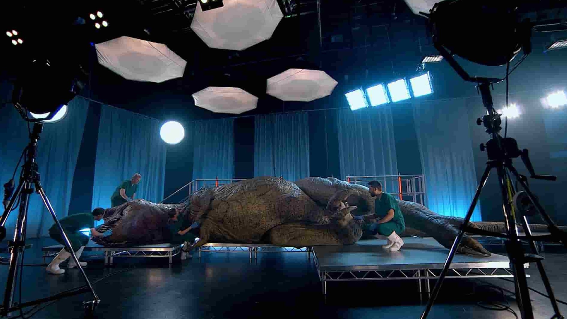 国家地理《解剖霸王龙 T. Rex Autopsy 2015》全1集 英语中英双字 1080P高清网盘下载