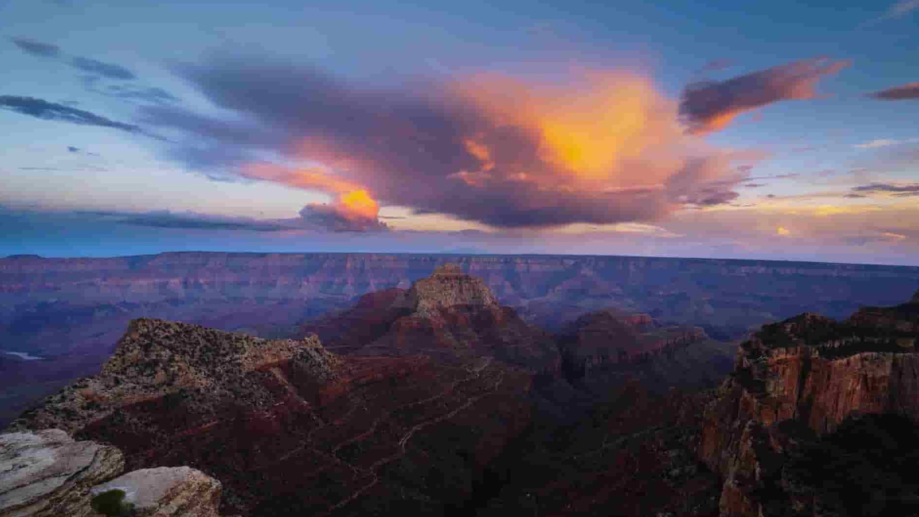 国家地理《大峡谷的荒野危机 Into the Grand Canyon 2019》全1集 英语中字 1080P高清网盘下载