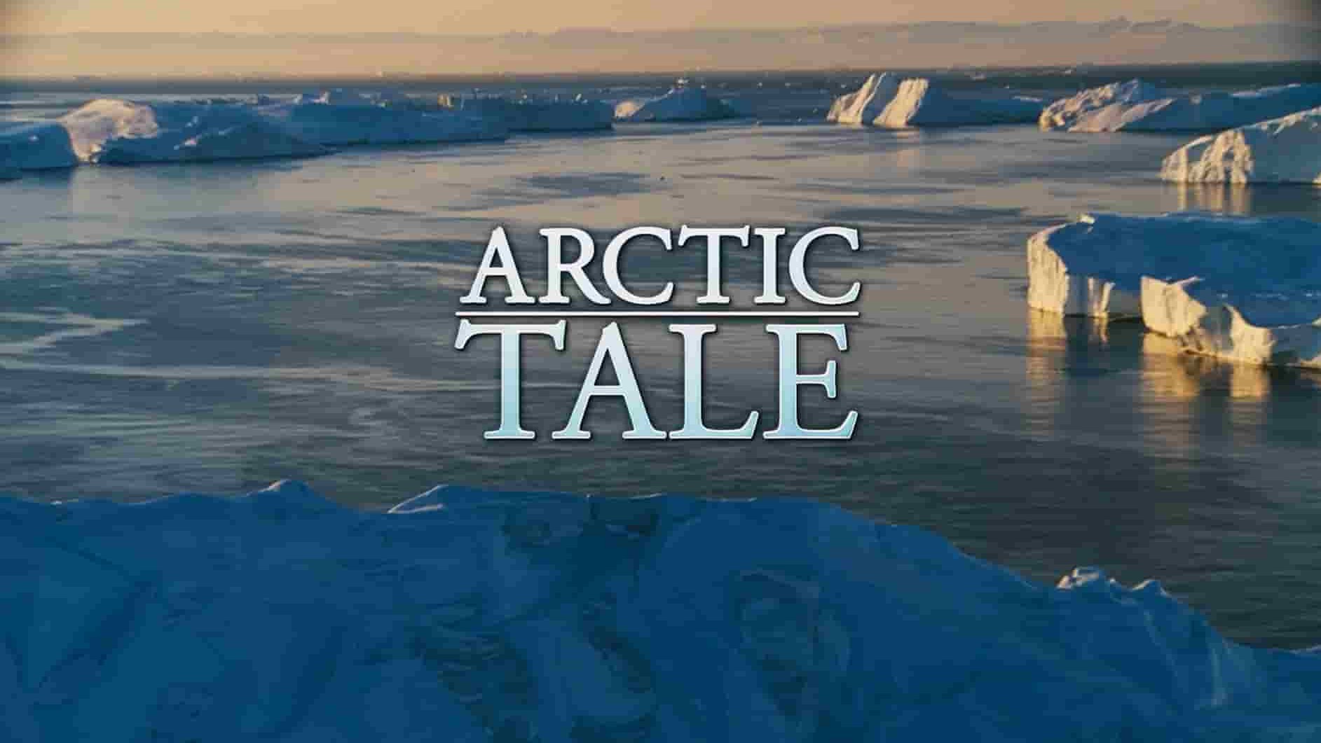 国家地理《北极传说 Arctic Tale》全1集 英语中字 720P高清网盘下载