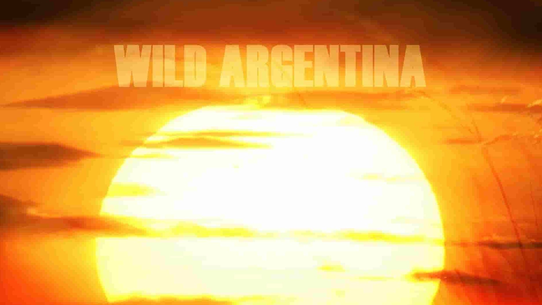 国家地理《野性阿根廷 Wild Argentina 2017》全3集 英语中英双字 1080P高清网盘下载