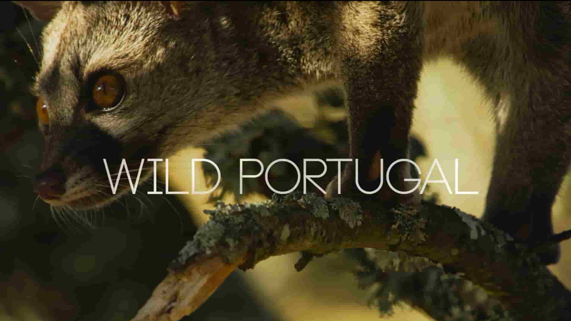 国家地理《野性葡萄牙/狂野葡萄牙 Wild Portugal 2020》全1集 英语中英双字 1080P高清下载