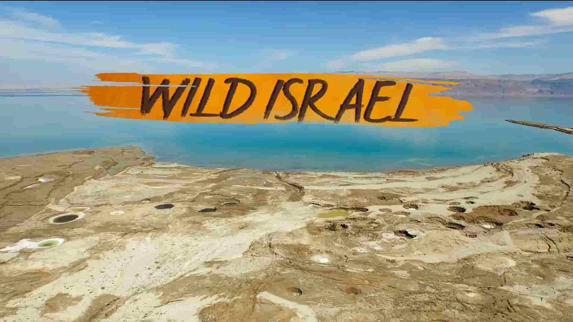 国家地理纪录片《野性以色列 Wild Israel 2016》全5集 英语中字 1080P高清网盘下载