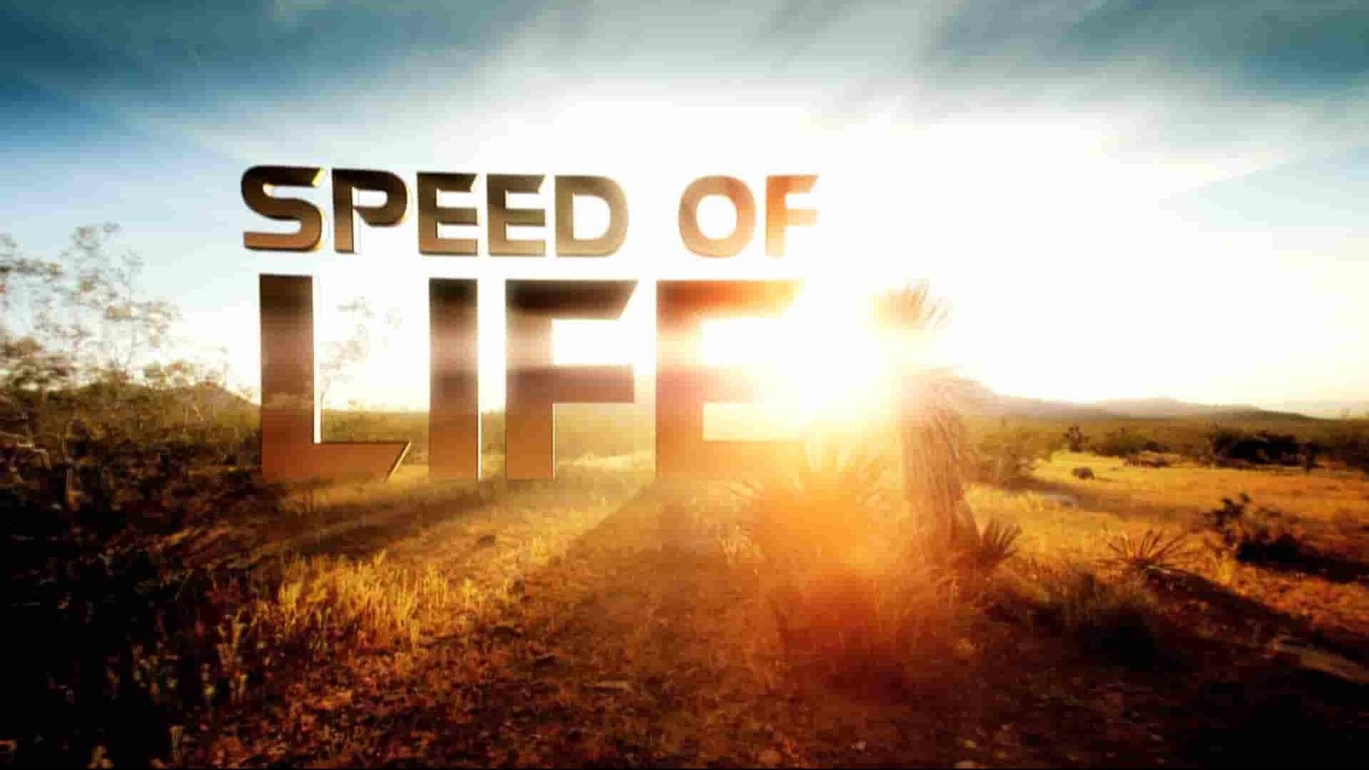  探索频道《生命的速度 Speed Of Life》全3集 英语外挂中字 1080P高清网盘下载